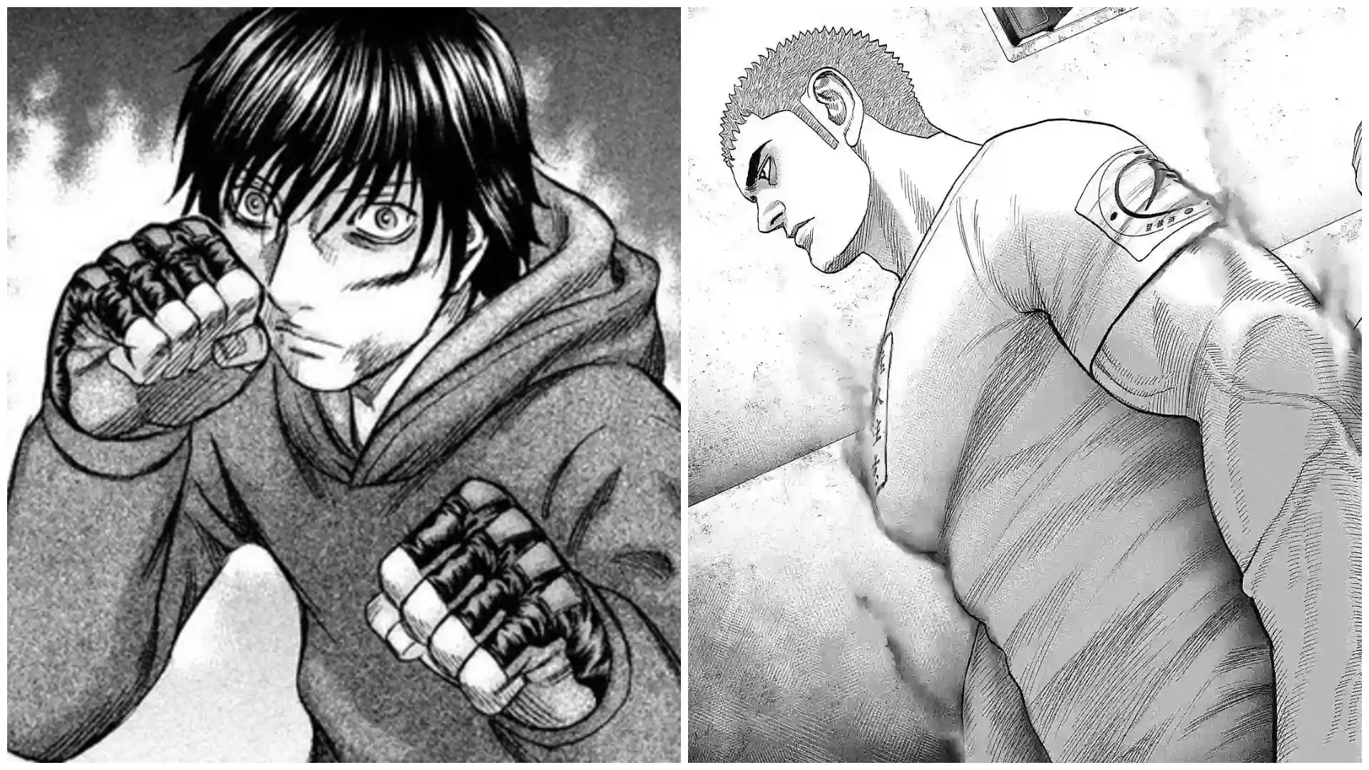 أفضل 10 مانجا فنون قتالية يجب أن تقرأها