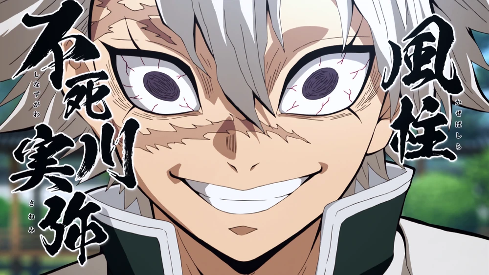 ترتيب الهاشيرا في قاتل الشياطين