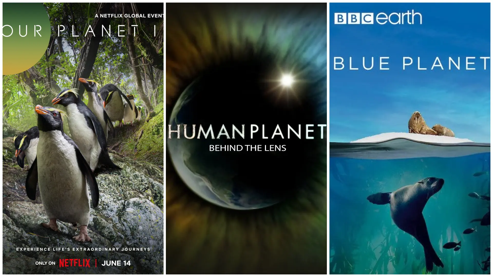 10 مسلسلات وثائقية ستأخذك في رحلة مذهلة حول العالم