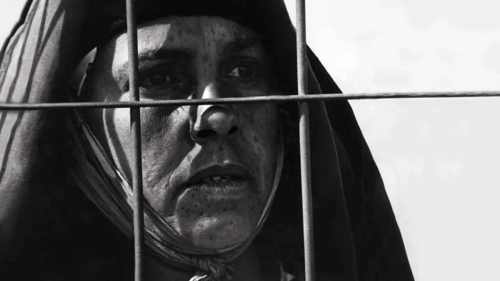 أفلام جزائرية