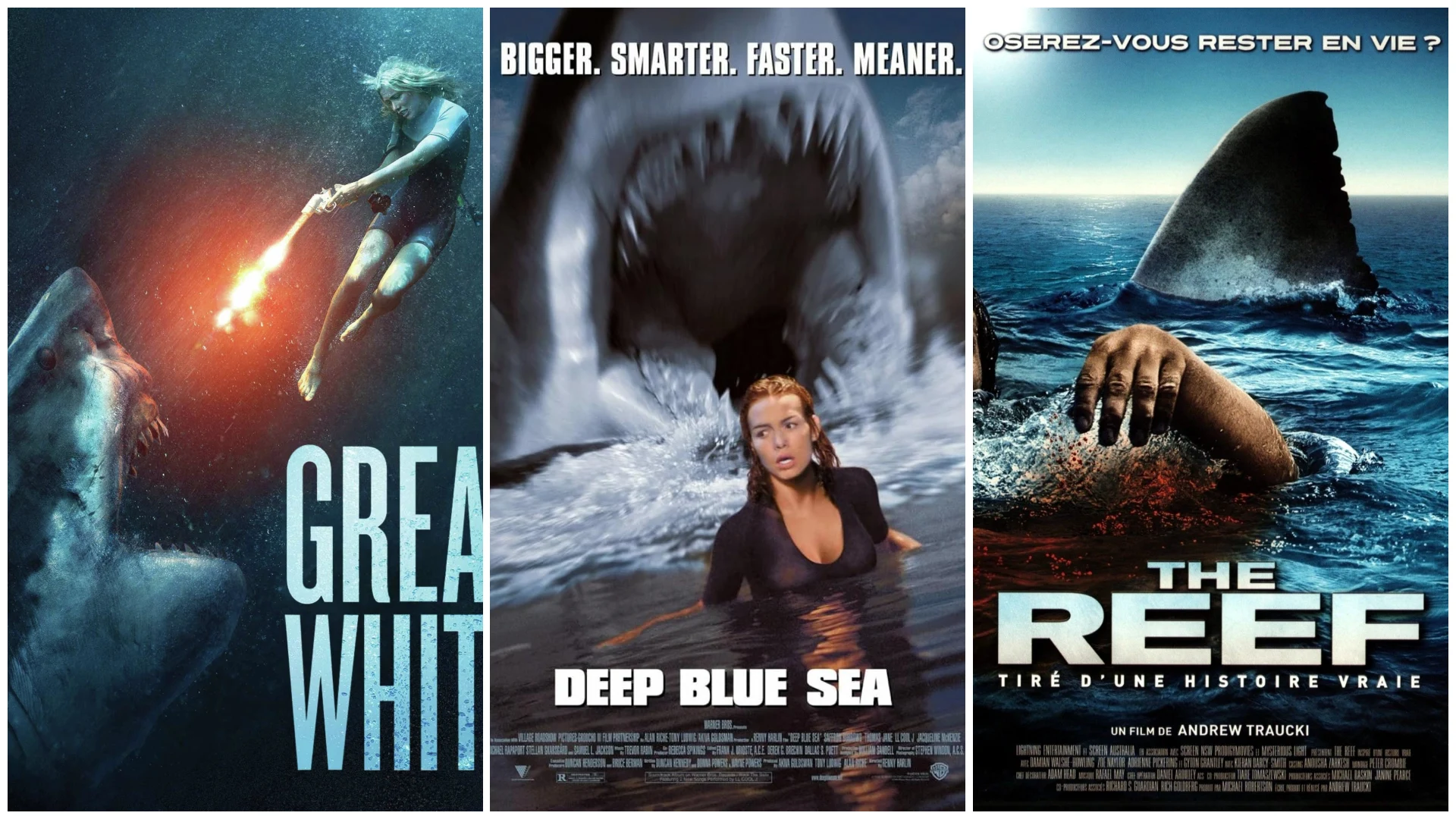 أفضل 10 أفلام عن أسماك القرش لا يجرؤ الجميع على مشاهدتها!